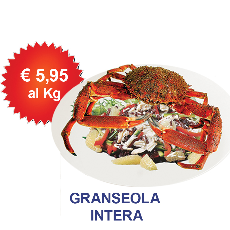granselola