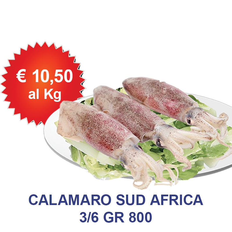 calamaro