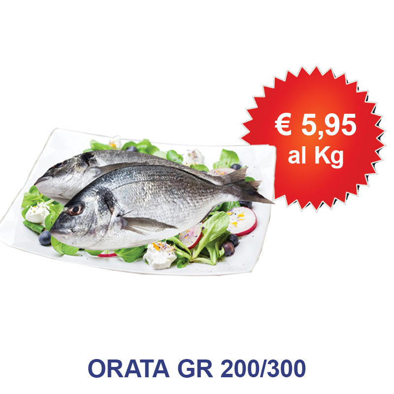 orata