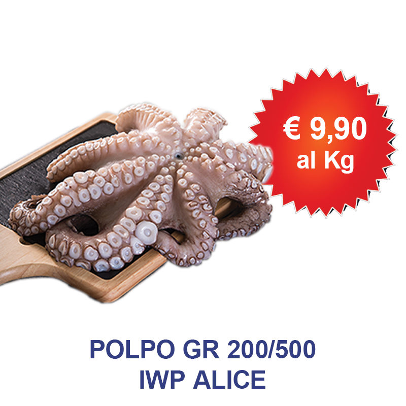 polpo